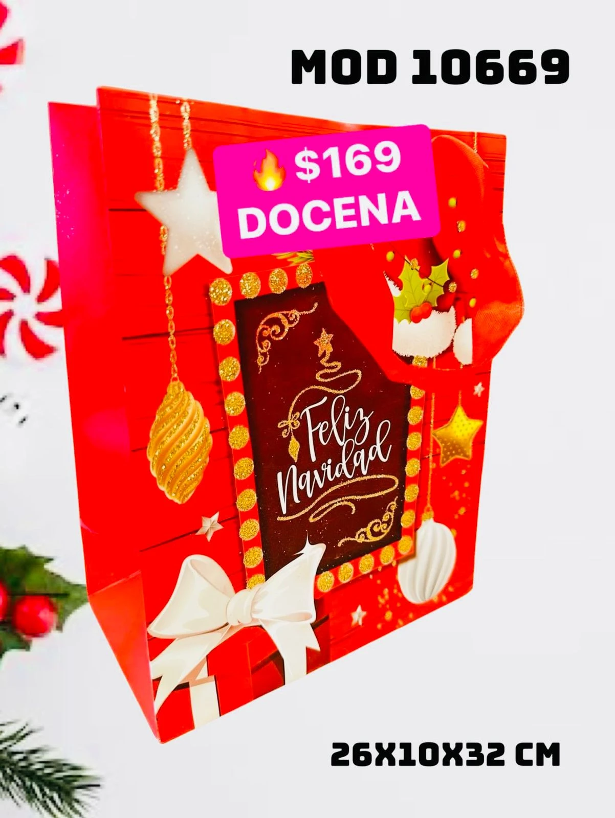 DOCENA BOLSA DE REGALO 10669