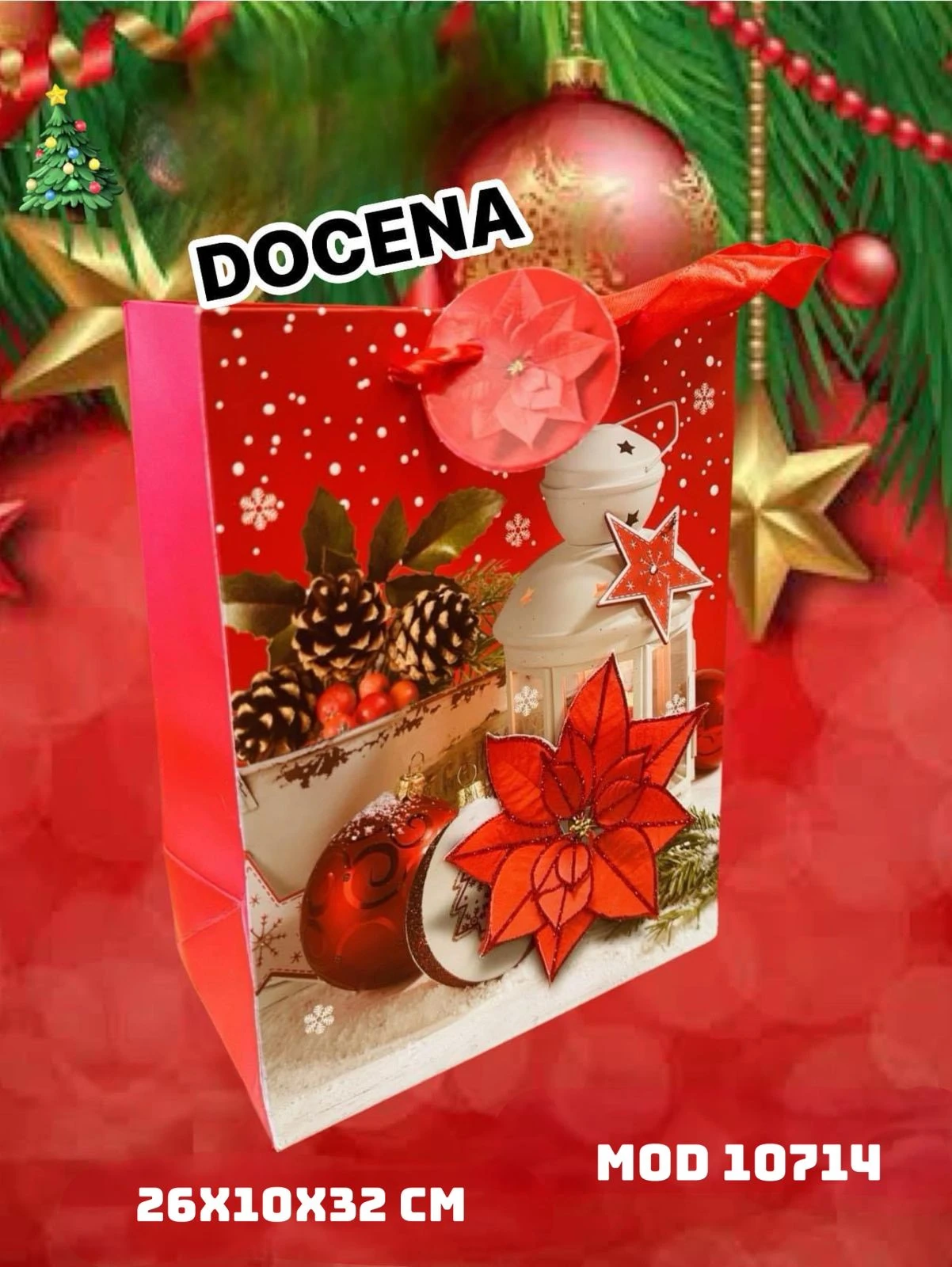 DOCENA BOLSA REGALO 10714